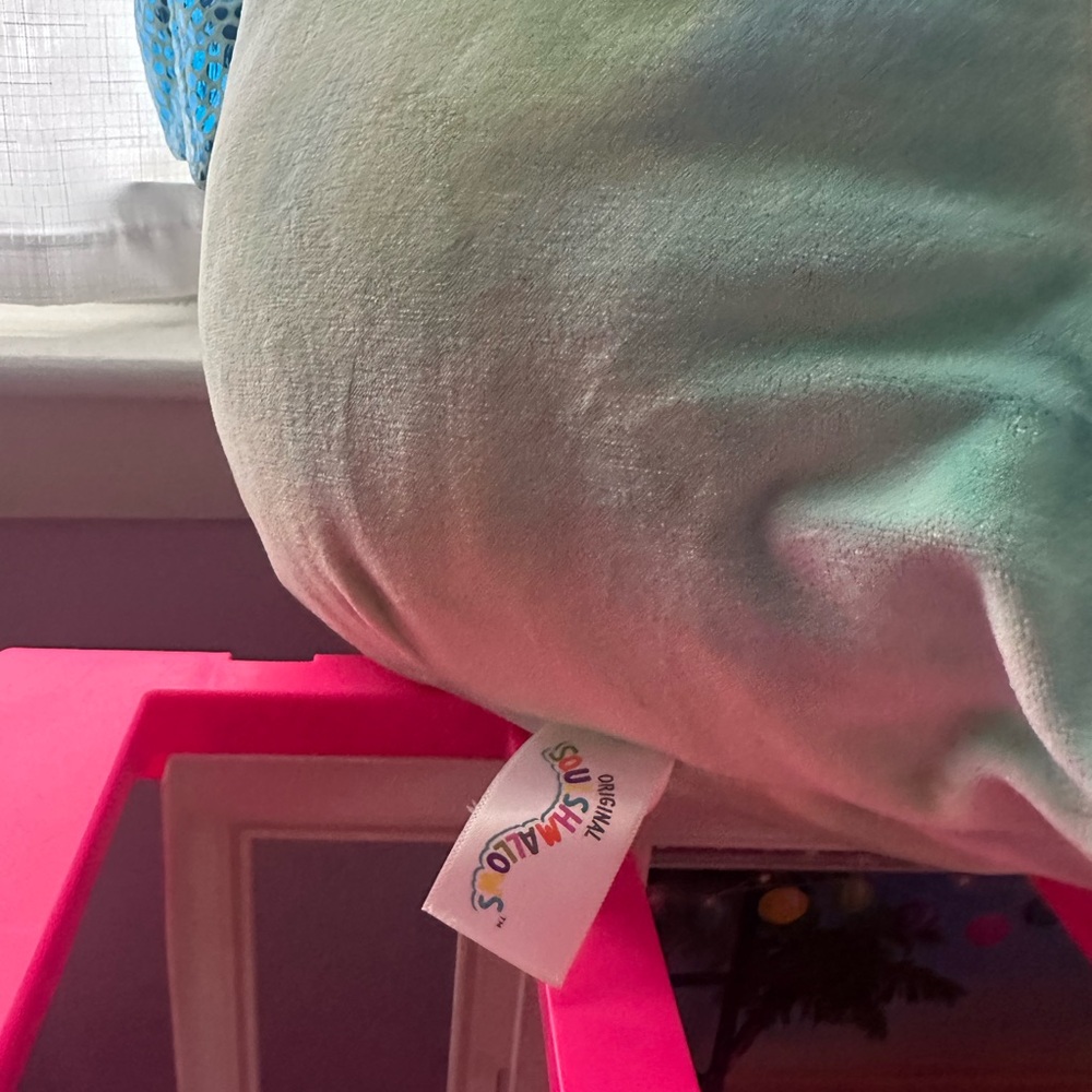 Squishmallows Mint and Pink Plush Toy